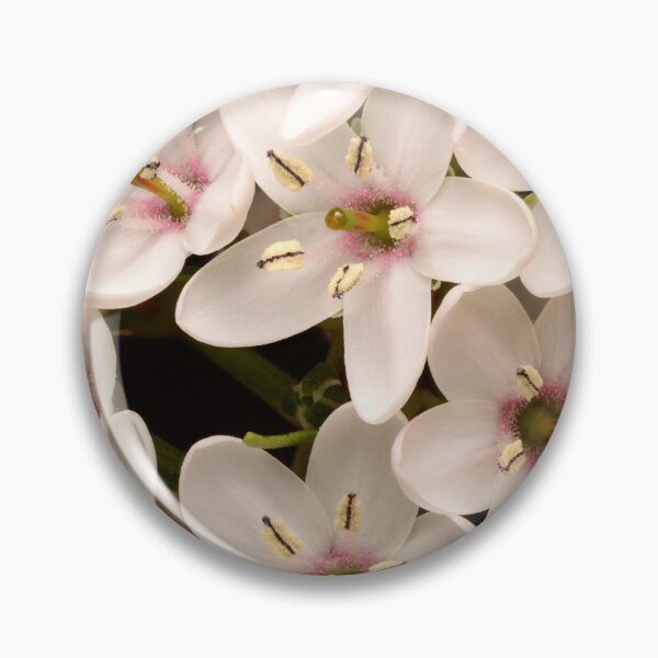 Item preview, Gooseneck Loosestrife – Starry Blooms in Close Detail designed and sold by Goiko7Margarita.