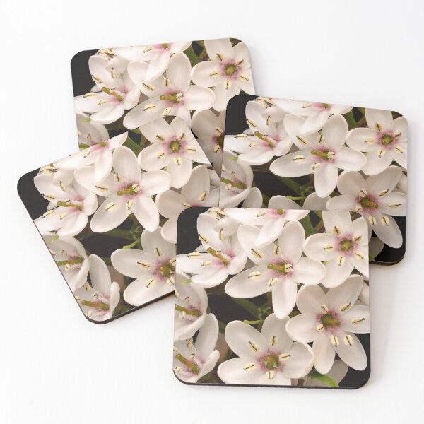 Item preview, Gooseneck Loosestrife – Starry Blooms in Close Detail designed and sold by Goiko7Margarita.