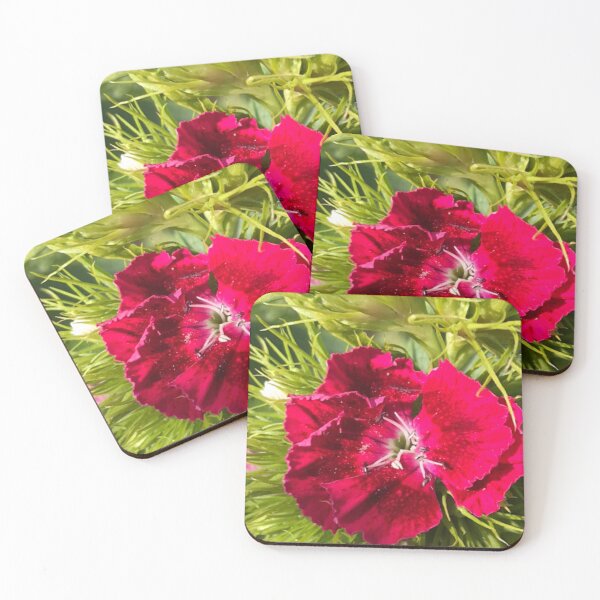 Item preview, Sweet William designed and sold by JuleZ54.