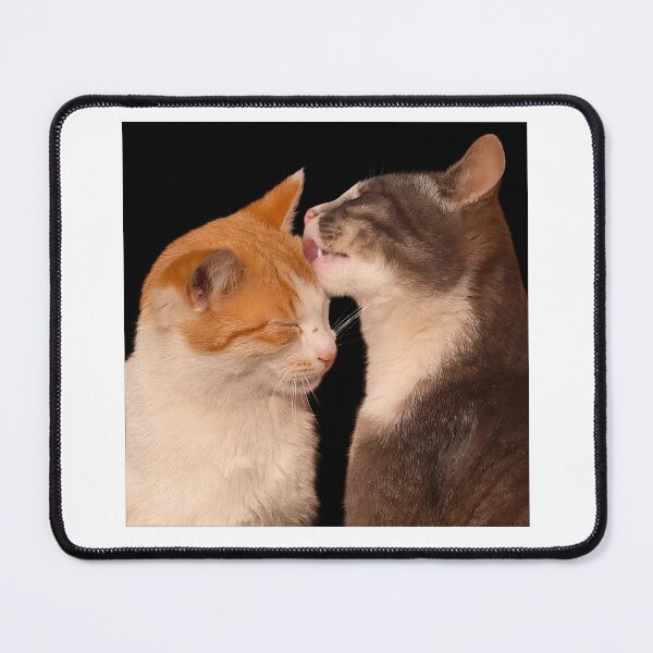 Item preview, Feline Romance: The Enchanting Bond of Love-Struck Cats designed and sold by Luxuriously.