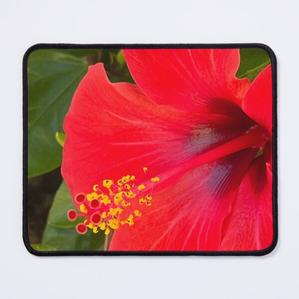 Item preview, Bright red hibiscus delight designed and sold by Ponted.