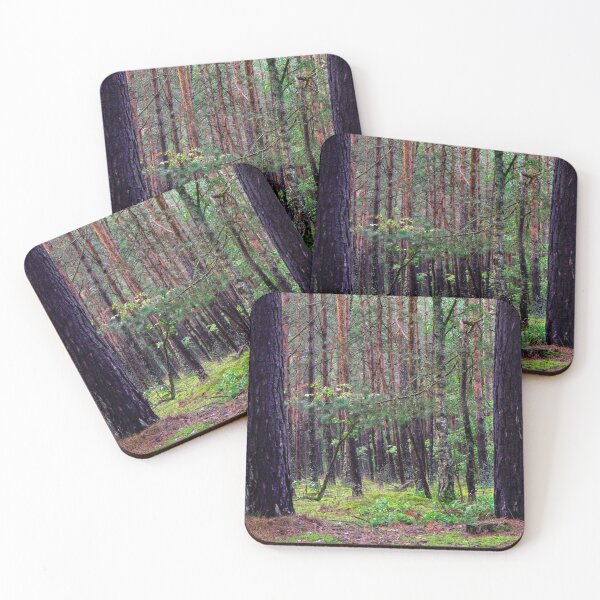 Item preview, Pine Forest in Soft Afternoon Light designed and sold by minstr3l.