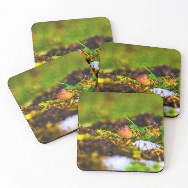 Item preview, foto de hongo pequeño designed and sold by Courtney Matulewicz.