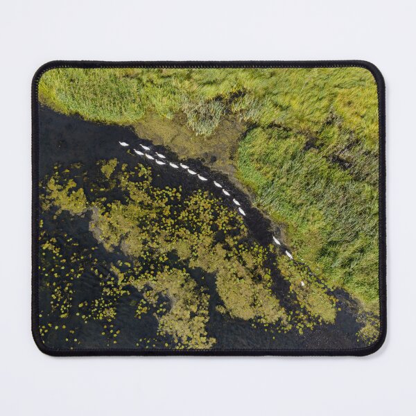 Item preview, Aerial View of Swans Swimming Through Wetland Vegetation designed and sold by minstr3l.