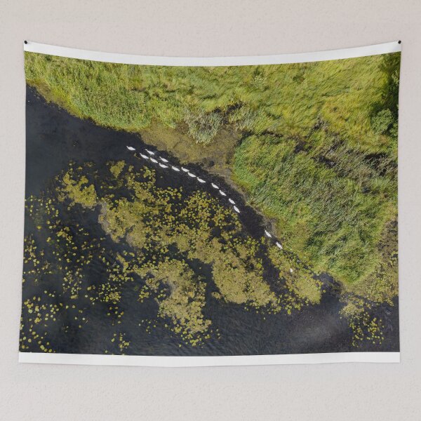Item preview, Aerial View of Swans Swimming Through Wetland Vegetation designed and sold by minstr3l.