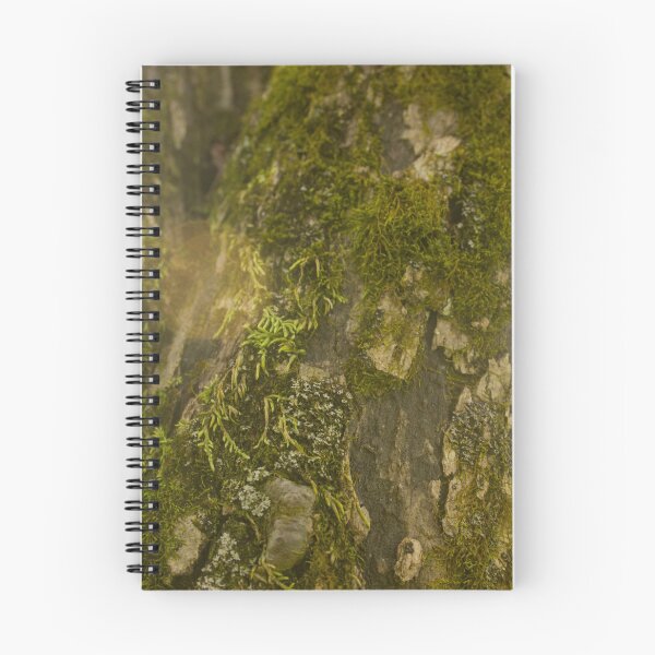 Item preview, Mossy Tree with Sun Flare designed and sold by Courtney Matulewicz.