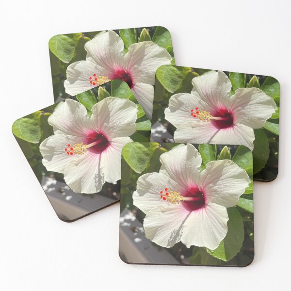 Item preview, White glow hibiscus delight designed and sold by Ponted.