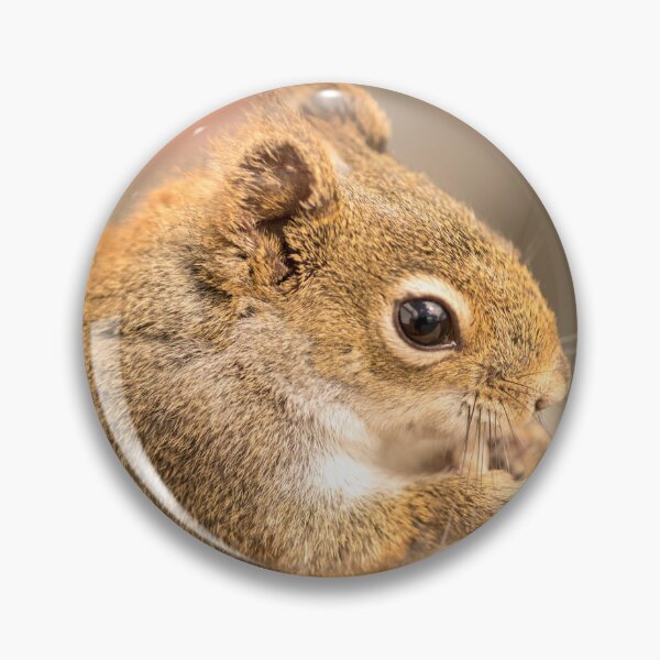 Item preview, Squirrel designed and sold by petemortenson.