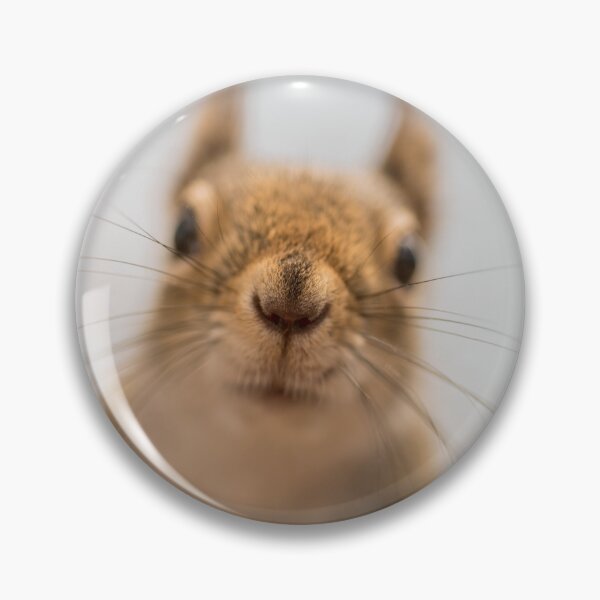 Item preview, Squirrel Nose designed and sold by petemortenson.