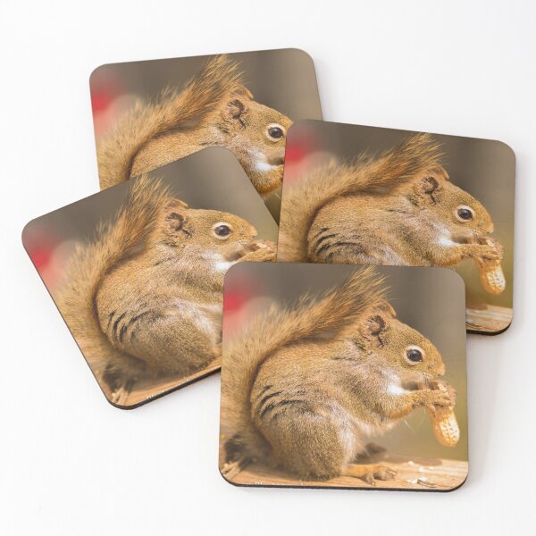 Item preview, Squirrel designed and sold by petemortenson.
