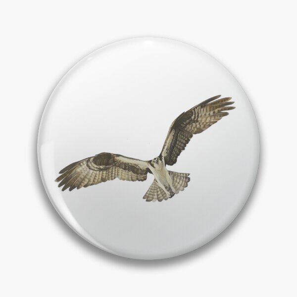 Item preview, Buzzard In Flight - Bird of Prey designed and sold by rossartstudio.