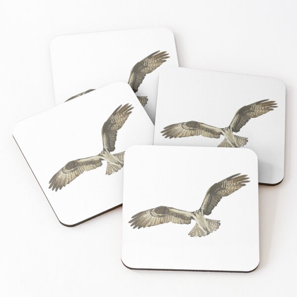 Item preview, Buzzard In Flight - Bird of Prey designed and sold by rossartstudio.