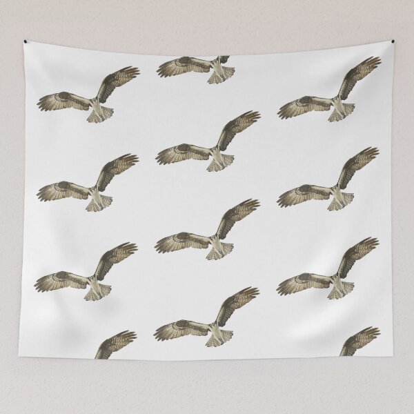 Item preview, Buzzard In Flight - Bird of Prey designed and sold by rossartstudio.