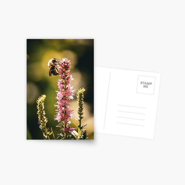 Item preview, Bee & Flower  designed and sold by haileysphotos763.