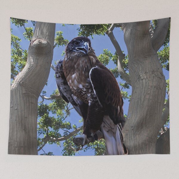 Item preview, Stay Away, This is My Tree! designed and sold by heatherfriedman.