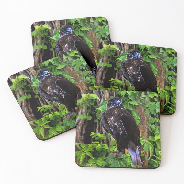 Item preview, I Am Going to Build My Nest Here designed and sold by heatherfriedman.