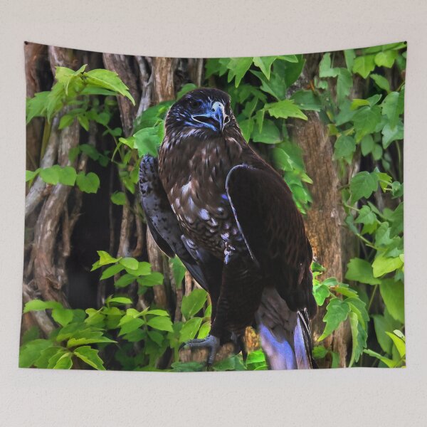 Item preview, I Am Going to Build My Nest Here designed and sold by heatherfriedman.