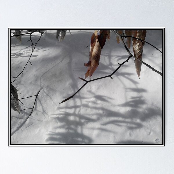 Item preview, Hojas de haya en invierno designed and sold by Wayne King.