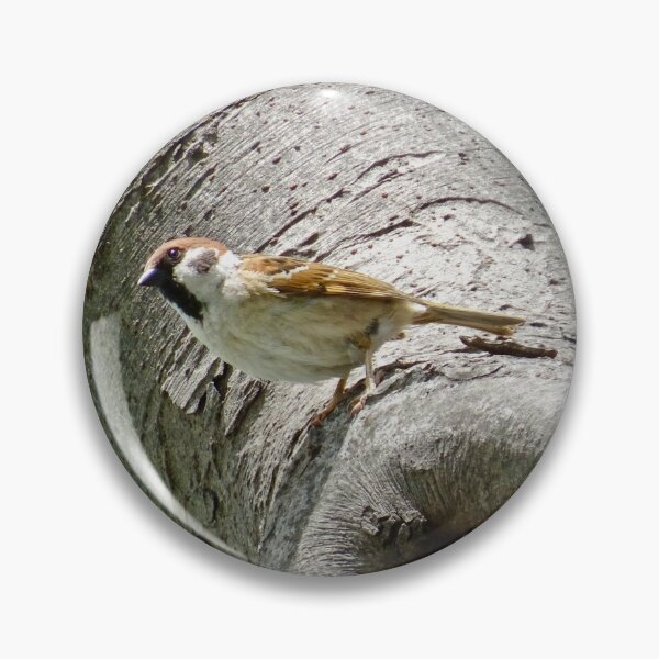 Item preview, Male sparrow on a tree trunk designed and sold by Whimsyiskey.