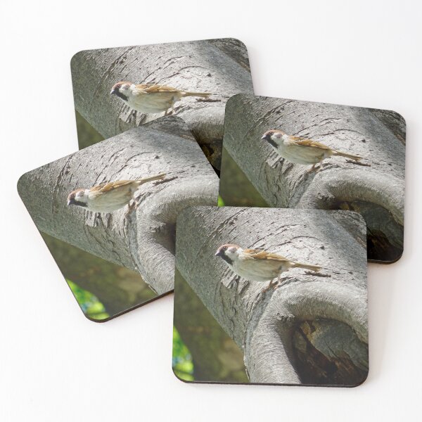 Item preview, Male sparrow on a tree trunk designed and sold by Whimsyiskey.