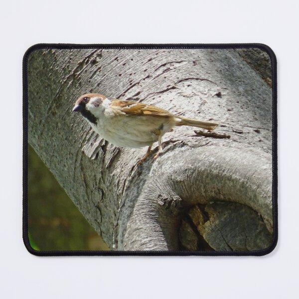 Item preview, Male sparrow on a tree trunk designed and sold by Whimsyiskey.