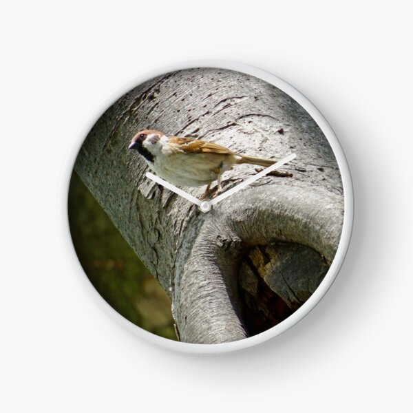 Item preview, Male sparrow on a tree trunk designed and sold by Whimsyiskey.