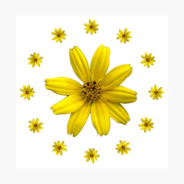 Item preview, Little Yellow Flower Pattern designed and sold by Lava Watchers.
