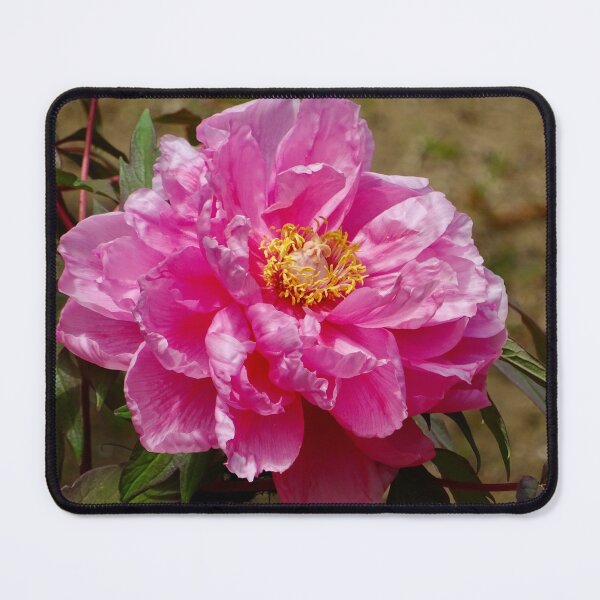 Item preview, Tree Peony designed and sold by Whimsyiskey.