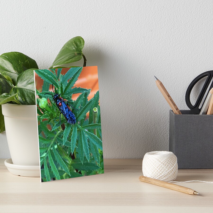 Item preview, Art Board Print designed and sold by ShutterbugBttns.
