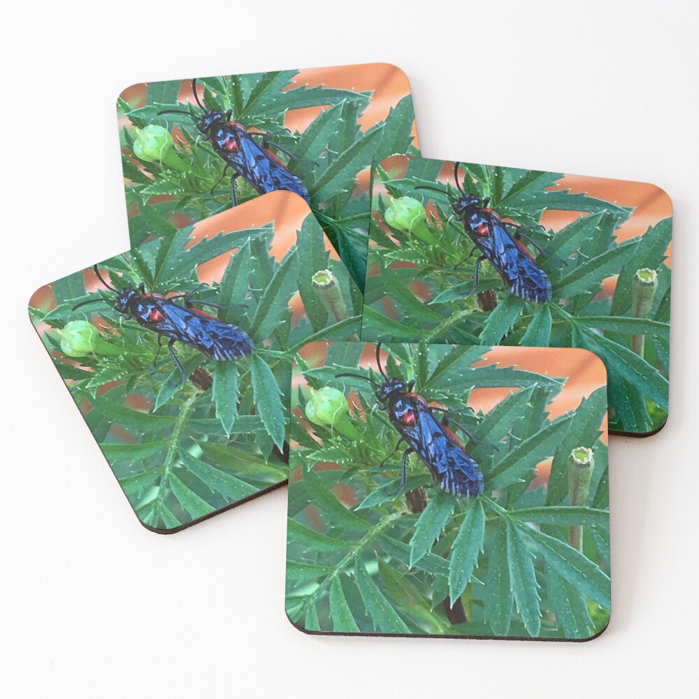 Item preview, Coasters (Set of 4) designed and sold by ShutterbugBttns.
