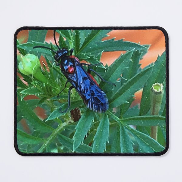 Item preview, Bug designed and sold by ShutterbugBttns.