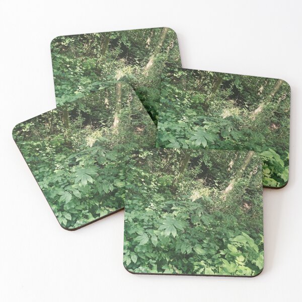 Item preview, Overgrown Forest Path  designed and sold by Mddrstudios.