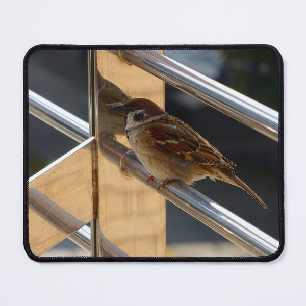 Item preview, A male sparrow on a handrail designed and sold by Whimsyiskey.