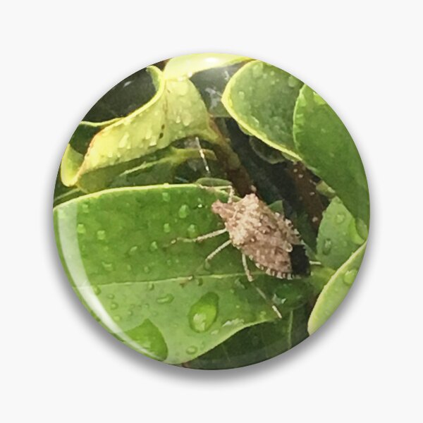 Item preview, Stink Bug designed and sold by ShutterbugBttns.