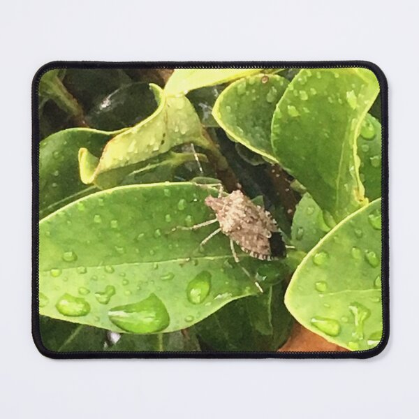 Item preview, Stink Bug designed and sold by ShutterbugBttns.