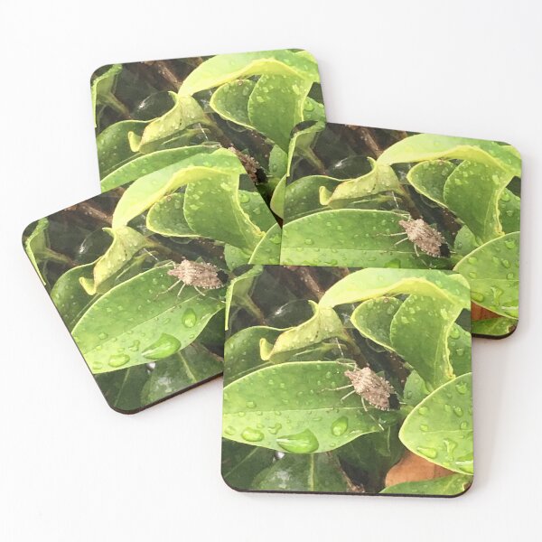 Item preview, Stink Bug designed and sold by ShutterbugBttns.