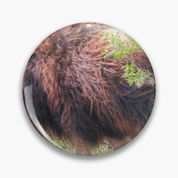 Item preview, Grazing muskox II designed and sold by zumi.