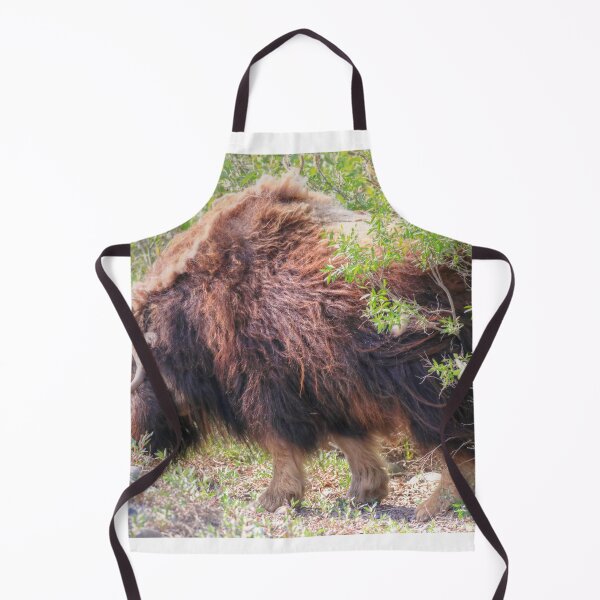 Item preview, Grazing muskox II designed and sold by zumi.