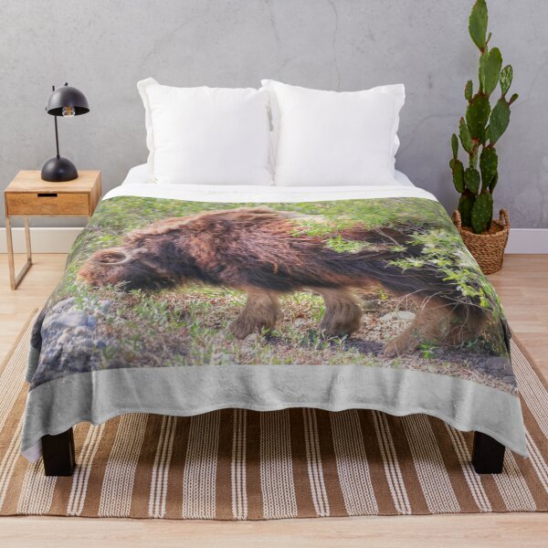 Item preview, Grazing muskox II designed and sold by zumi.