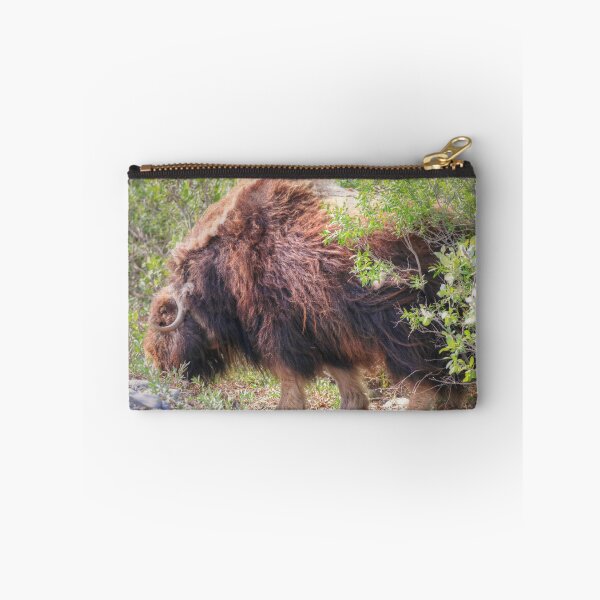 Item preview, Grazing muskox II designed and sold by zumi.