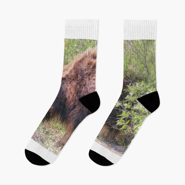 Item preview, Grazing muskox II designed and sold by zumi.