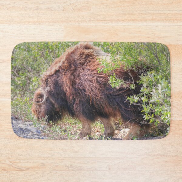 Item preview, Grazing muskox II designed and sold by zumi.