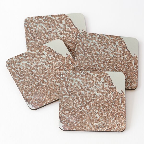 Item preview, AE1/3 IHC antibody designed and sold by CellPathWorld.