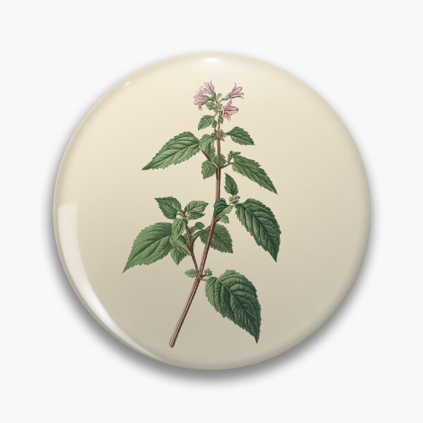 Item preview, Vintage Botanical Illustration of a Medicinal Herb Plant with Pink Flowers, Catnip (Nepeta cataria) designed and sold by IdeaSmith.