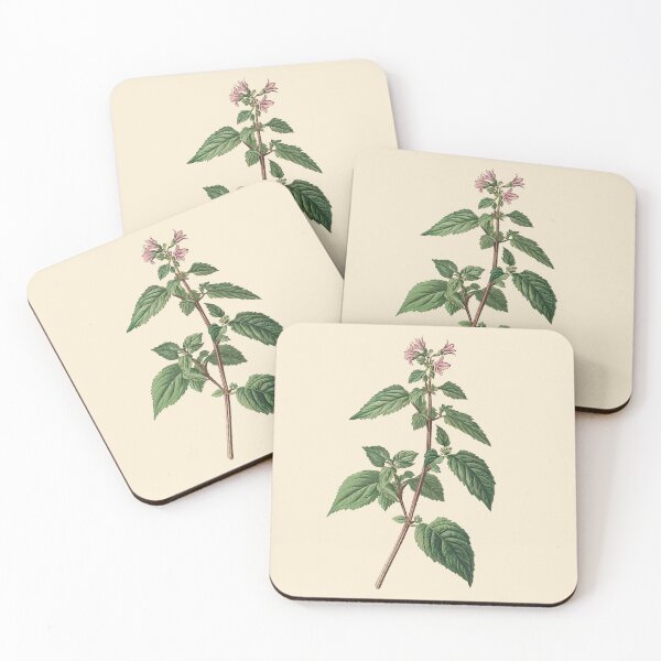 Item preview, Vintage Botanical Illustration of a Medicinal Herb Plant with Pink Flowers, Catnip (Nepeta cataria) designed and sold by IdeaSmith.