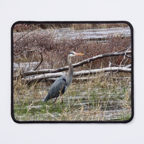 Item preview,  Blue Heron designed and sold by tinatippettshop.