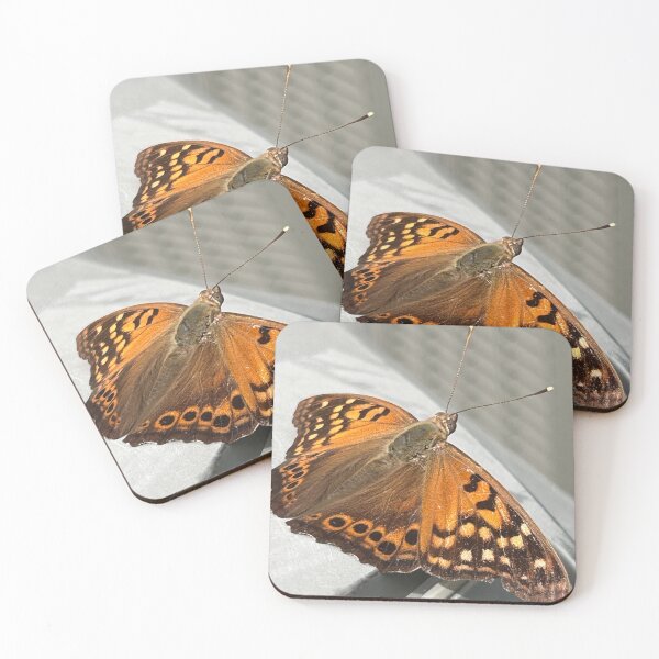 Item preview, Tawny Emperor Butterfly designed and sold by BlindEye1.
