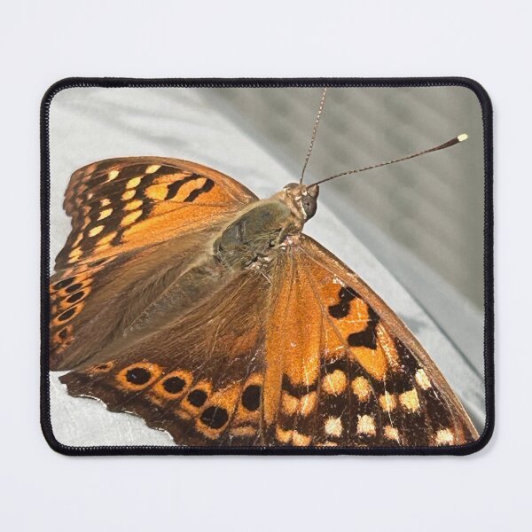 Item preview, Tawny Emperor Butterfly designed and sold by BlindEye1.