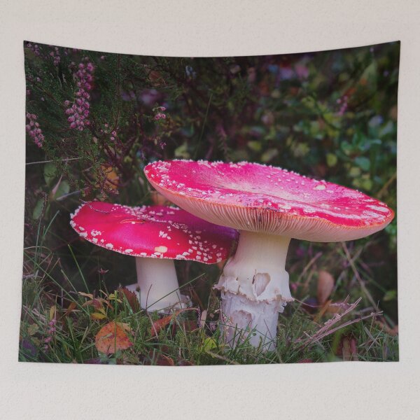Item preview, Home, of a sort designed and sold by ShinyPhoto.