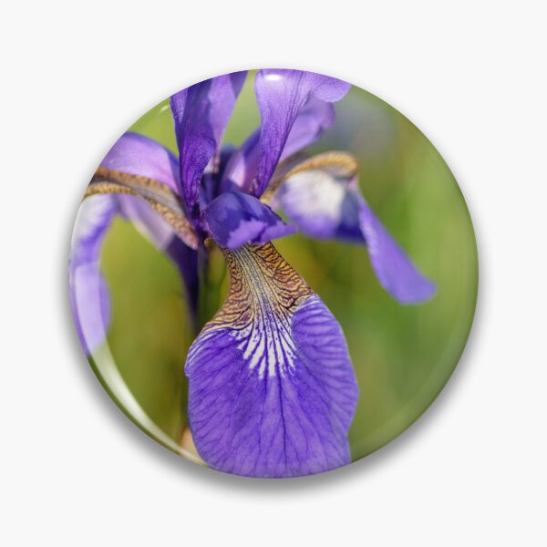 Item preview, Siberian Iris in a Meadow designed and sold by Kasia Design.